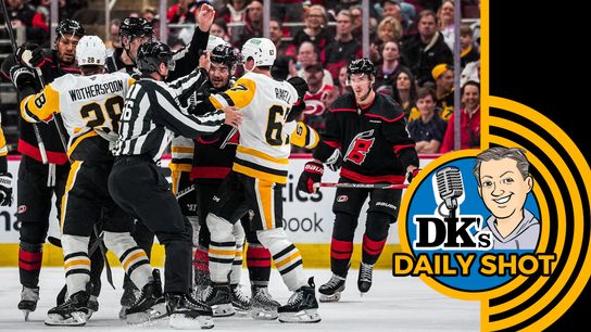 DK's Daily Shot of Penguins: Not one peep, people! taken in Raleigh, N.C. (Podcasts)